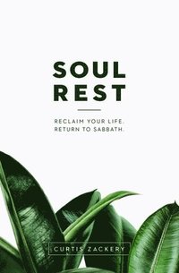 bokomslag Soul Rest