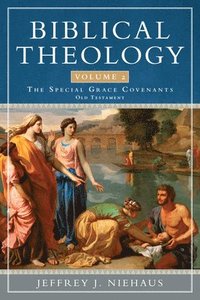 bokomslag Biblical Theology, Volume 2