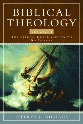 bokomslag Biblical Theology, Volume 3