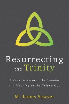 Sawyer, M. James Sawyer, M James Sawyer - Plea to Recover the Wonder and Meaning of the Tr iune God, Häftad