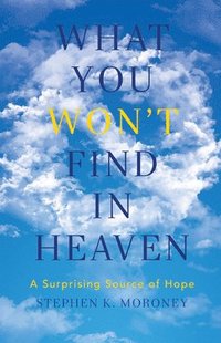 bokomslag What You WON?T Find in Heaven