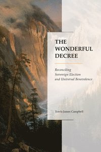 bokomslag Wonderful Decree