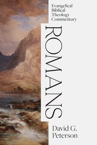 bokomslag Romans: Evangelical Biblical Theology Commentary