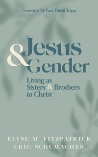 bokomslag Jesus and Gender