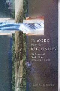 bokomslag The Word from the Beginning  The Person and Work of Jesus in the Gospel of John