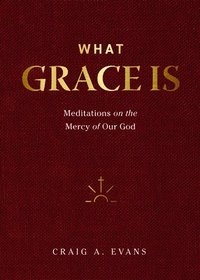 bokomslag Meditations on the Mercy of Our God