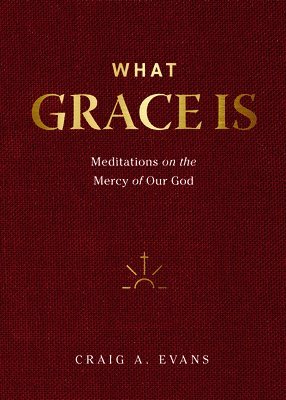 Meditations on the Mercy of Our God 1