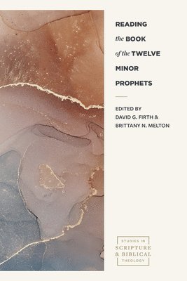 David Firth, David G. Firth, Brittany N. Melton, David G Firth, Brittany N Melton - Reading the Book of the Twelve Minor Prophets, Häftad