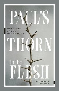 bokomslag Paul`s Thorn in the Flesh  New Clues for an Old Problem