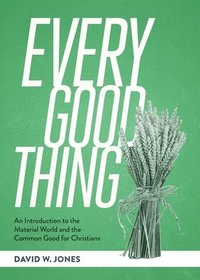 bokomslag Every Good Thing: An Introduction to the Material World and the Common Good for Christians