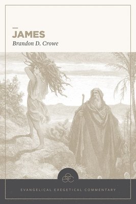 bokomslag James: Evangelical Exegetical Commentary