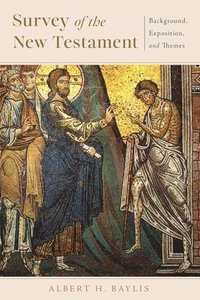 bokomslag Survey of the New Testament
