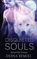 bokomslag Disquieted Souls