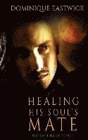 Healing His Soul's Mate 1