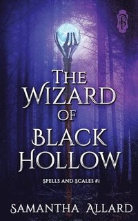bokomslag The Wizard of Black Hollow