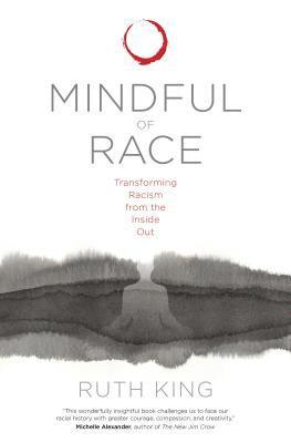 bokomslag Mindful of Race
