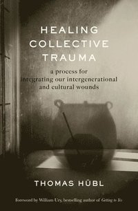 bokomslag Healing Collective Trauma: A Process for Integrating Our Intergenerational and Cultural Wounds