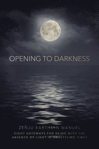 bokomslag Opening to Darkness