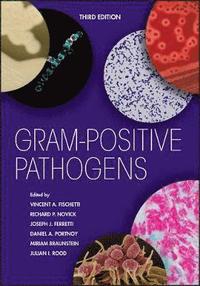 bokomslag Gram-Positive Pathogens