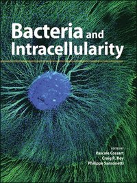 bokomslag Bacteria and Intracellularity