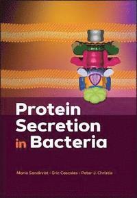 bokomslag Protein Secretion in Bacteria