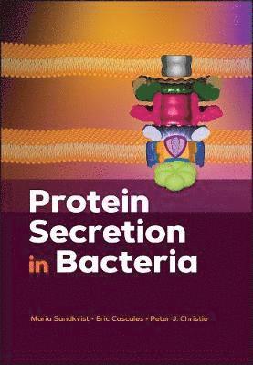 Protein Secretion in Bacteria 1