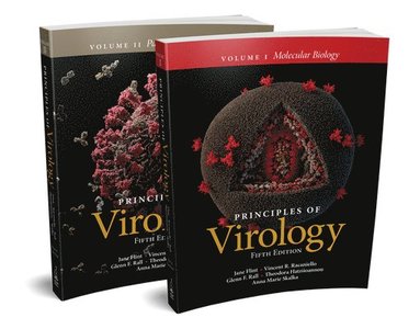 Jane Flint, Vincent R. Racaniello, Glenn F. Rall, Theodora Hatziioannou, Anna Marie Skalka - Principles of Virology, Multi-Volume, Häftad