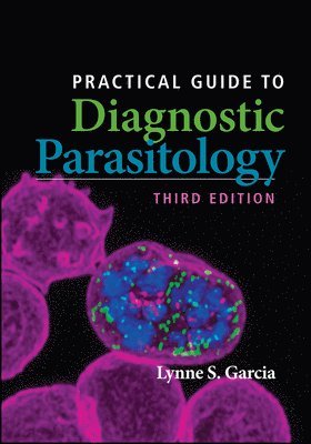 Lynne Shore Garcia, CA) Garcia, Lynne Shore (UCLA Medical Center, Los Angeles - Practical Guide to Diagnostic Parasitology, Häftad