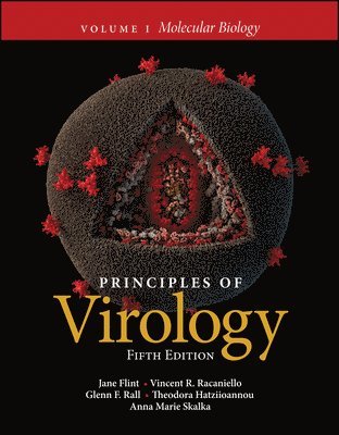 Jane Flint, Vincent R. Racaniello, Glenn F. Rall, Theodora Hatziioannou, Anna Marie Skalka - Principles of Virology, Volume 1, Häftad