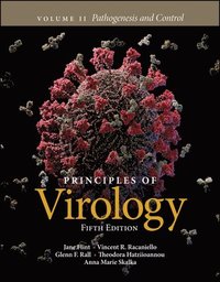 bokomslag Principles of Virology, Volume 2: Pathogenesis and Control