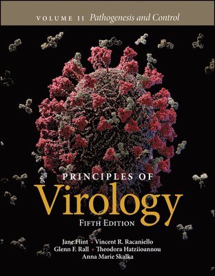 S. Jane Flint, Vincent R. Racaniello, Glenn F. Rall, Theodora Hatziioannou, Anna Marie Skalka - Principles of Virology, Volume 2, Häftad