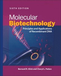 bokomslag Molecular Biotechnology