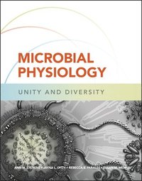 bokomslag Microbial Physiology