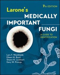 bokomslag Larone's Medically Important Fungi