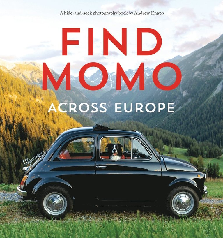 Andrew Knapp - Find Momo across Europe, Häftad