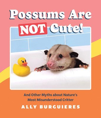 bokomslag Possums Are Not Cute