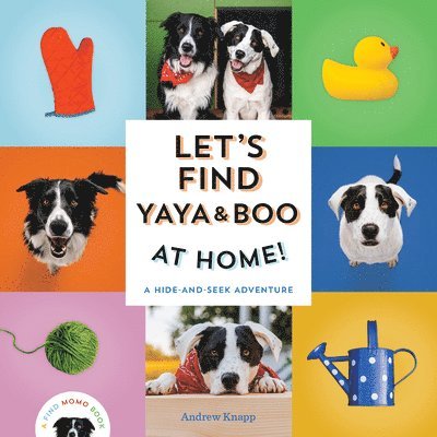 Let's Find Yaya and Boo at Home! 1