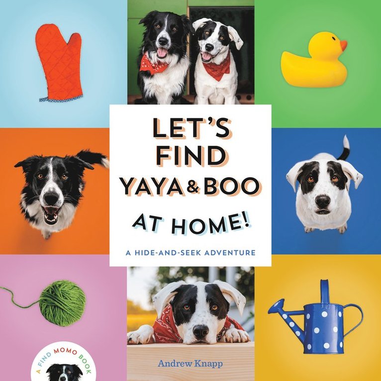 Andrew Knapp - Let's Find Yaya and Boo at Home!, Kartonnage