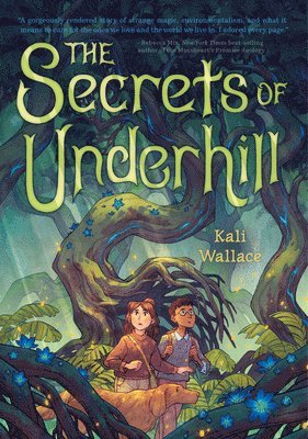 bokomslag The Secrets of Underhill