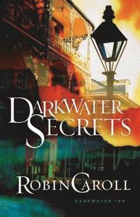 bokomslag Darkwater Secrets