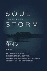bokomslag Soul Storm