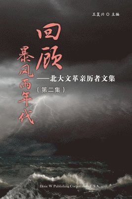 Fook Hing Wong - Retrospect of Stormy Days Volume 2, Häftad