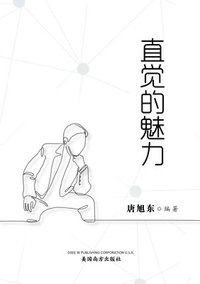 bokomslag &#30452;&#35273;&#30340;&#39749;&#21147;&#65288;The Power of Intuition, Chinese Edition&#65289;