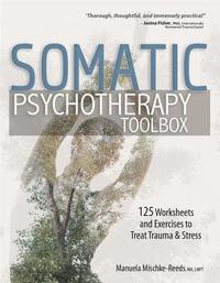 bokomslag Somatic Psychotherapy Toolbox