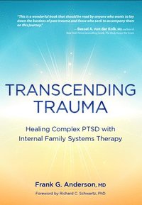 bokomslag Transcending Trauma