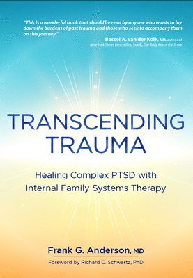 bokomslag Transcending Trauma