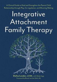 bokomslag Integrative Attachment Family Therapy