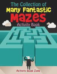 The Collection of Many Fantastic Mazes Activity Book