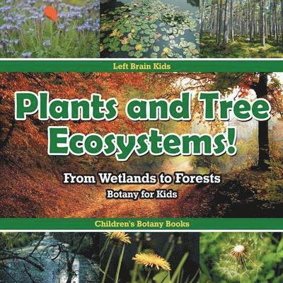 Plants and Tree Ecosystems! From Wetlands to Forests - Botany for Kids - Children's Botany Books 1