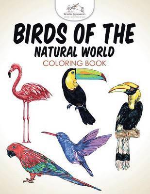 Birds of the Natural World Coloring Book 1